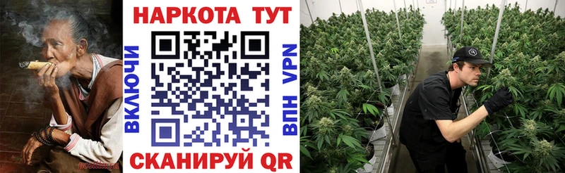 Наркошоп купить Cocaine  Амфетамин  ГАШИШ  Бошки Шишки  Метадон  Мефедрон  Новозыбков