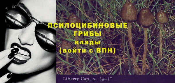 скорость Бородино