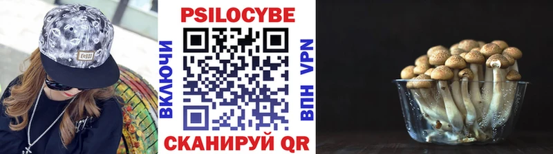 Псилоцибиновые грибы Psilocybine cubensis  Купить закладки  Новозыбков 